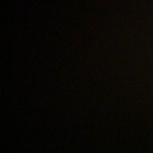 Meet your Posher, Callie